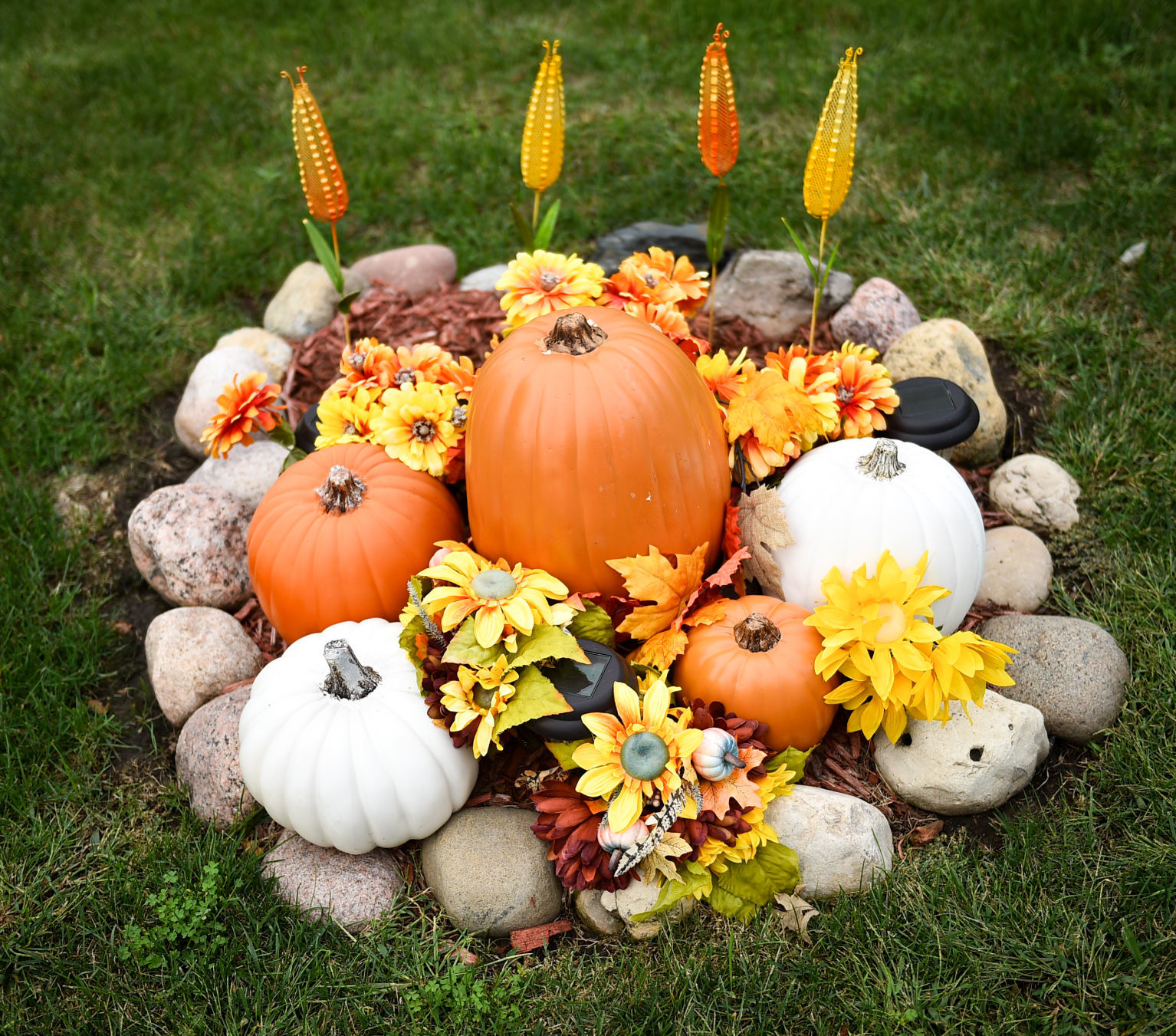 092919-qct-qca-fall-007a.JPG